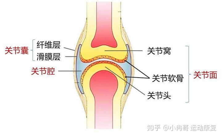 膝痛膝腫膝難受，患上滑膜炎怎么辦？