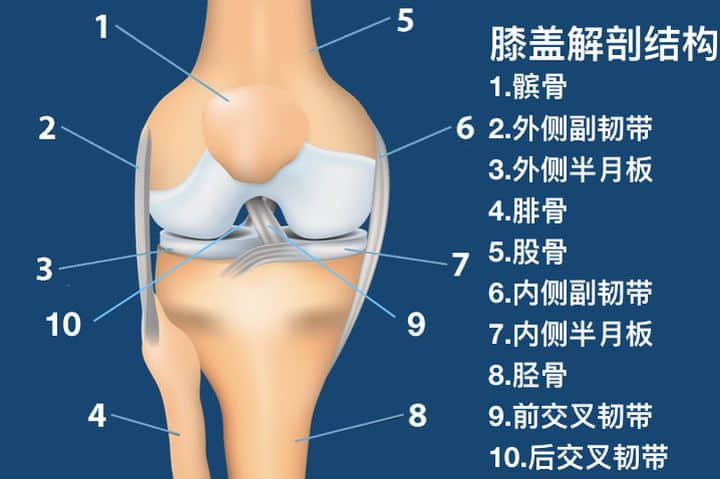如何分辨半月板損傷還是韌帶損傷？