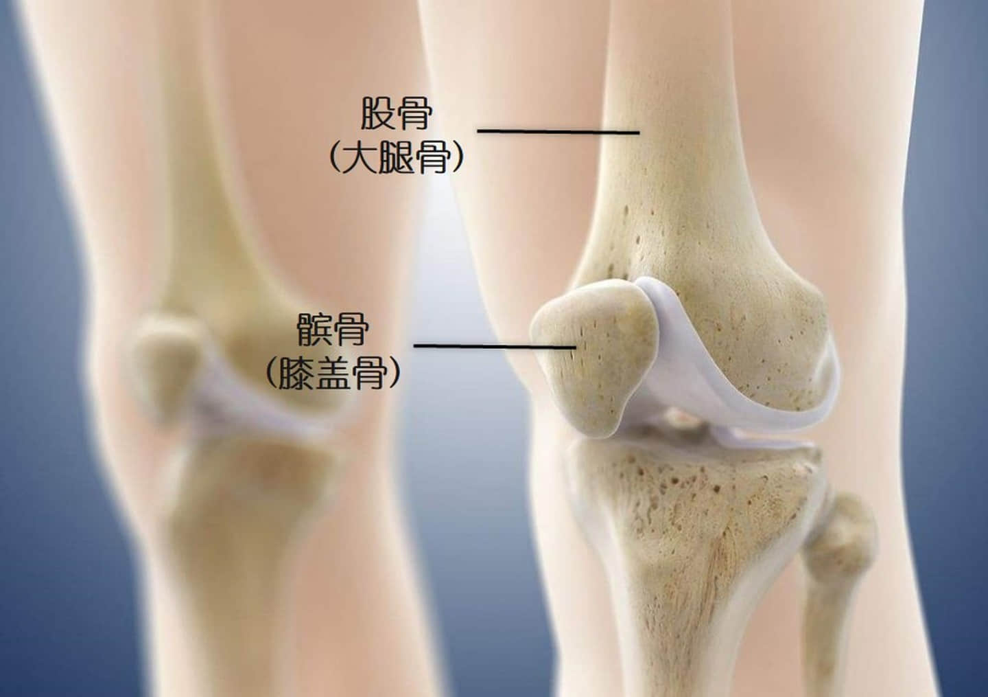 這個膝痛是最常見的運(yùn)動損傷，如何自我康復(fù)？