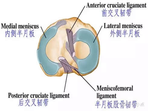 半月板損傷怎么辦？