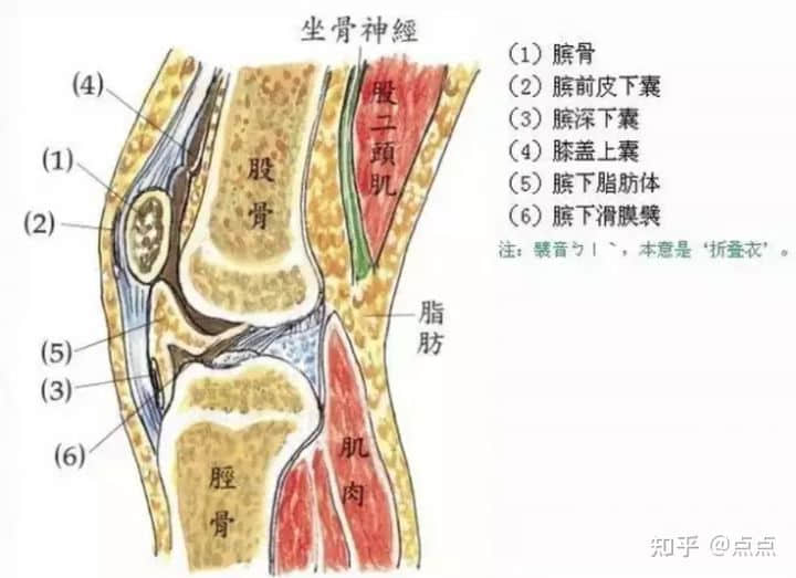 膝蓋受傷怎樣保守恢復？能自愈嗎？